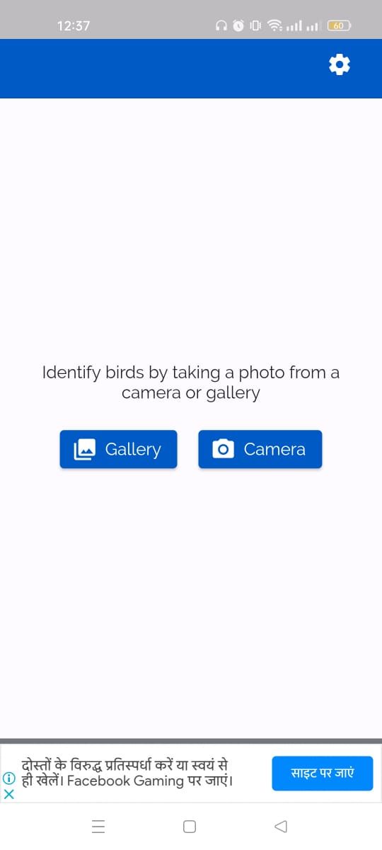 Bird Identification - Identify