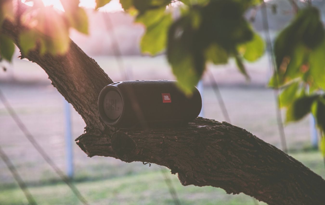 بلندگو بلوتوث JBL سیاه در شاخه درخت