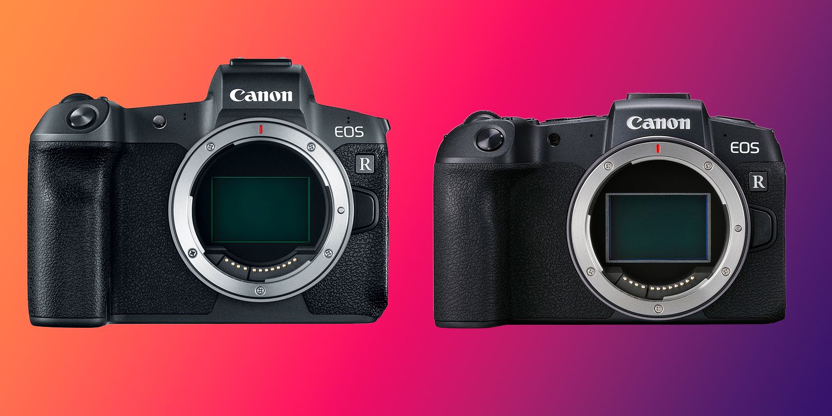 Canon EOS R vs Canon EOS RP on a colorful background