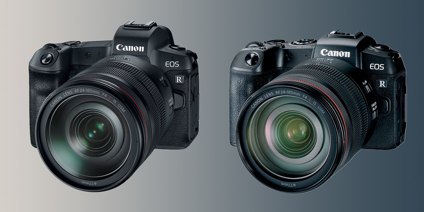 Canon EOS R and Canon EOS RP with 24-105 F4 lens side-by-side view