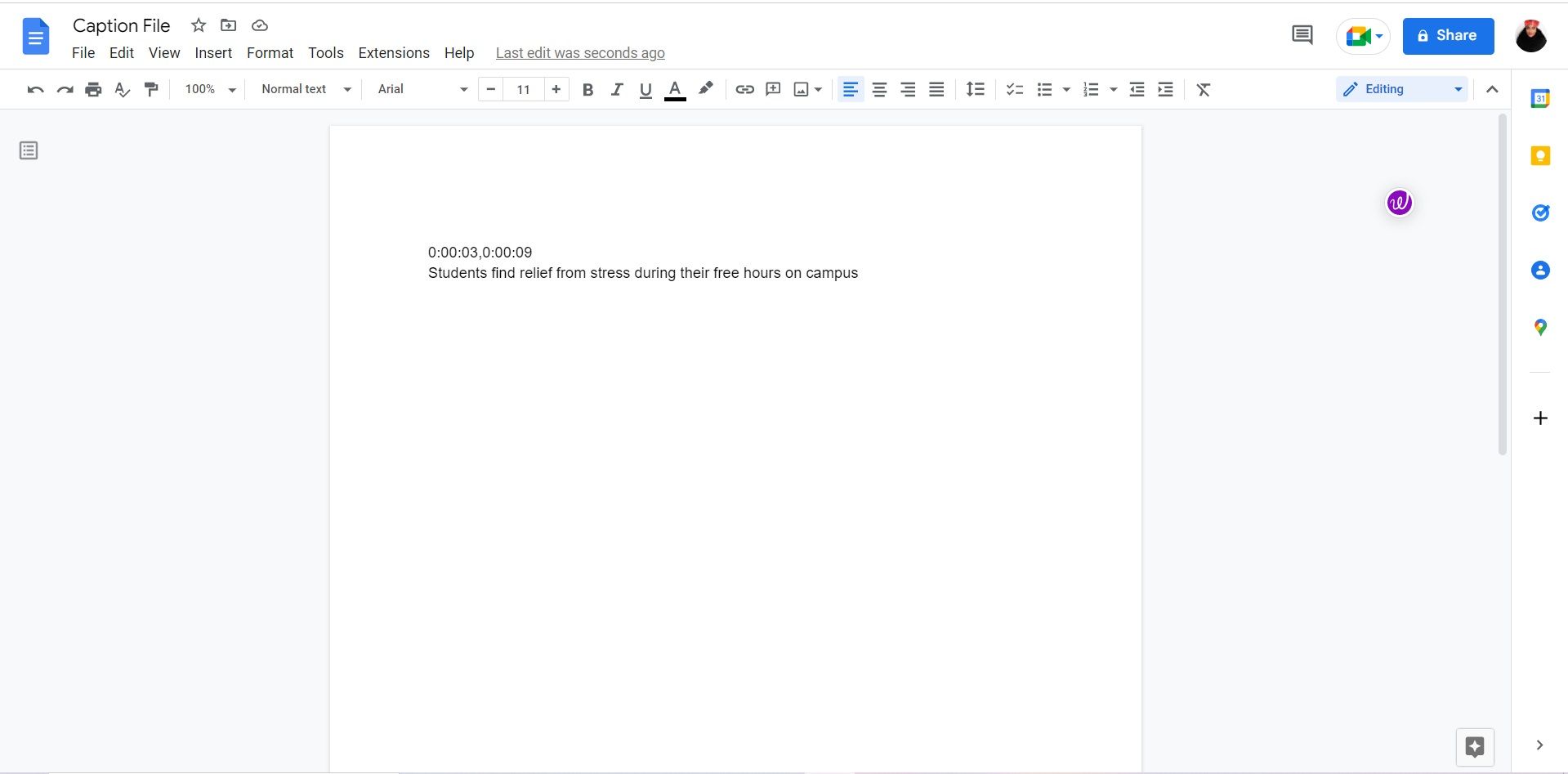 Creating a caption file in Google Docs
