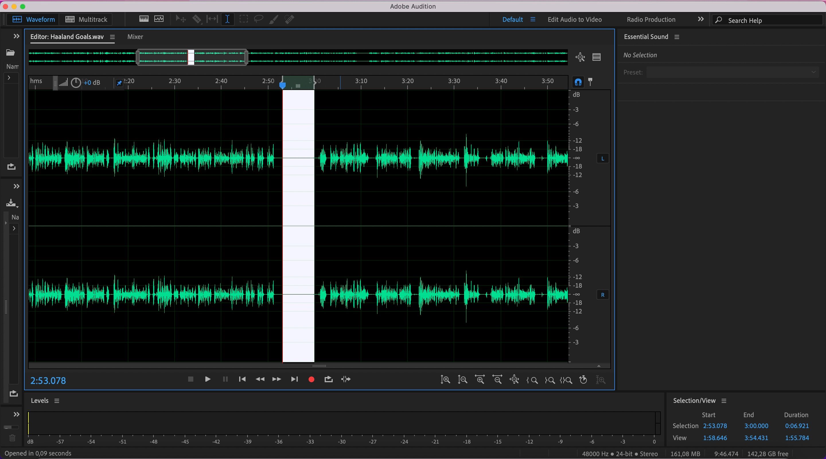 screenshot showing highlighted audio in adobe audition
