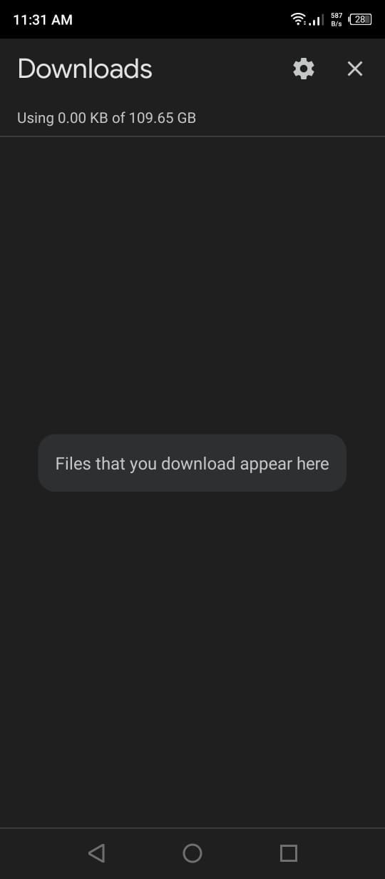 Downloads Page in the Google Chrome App