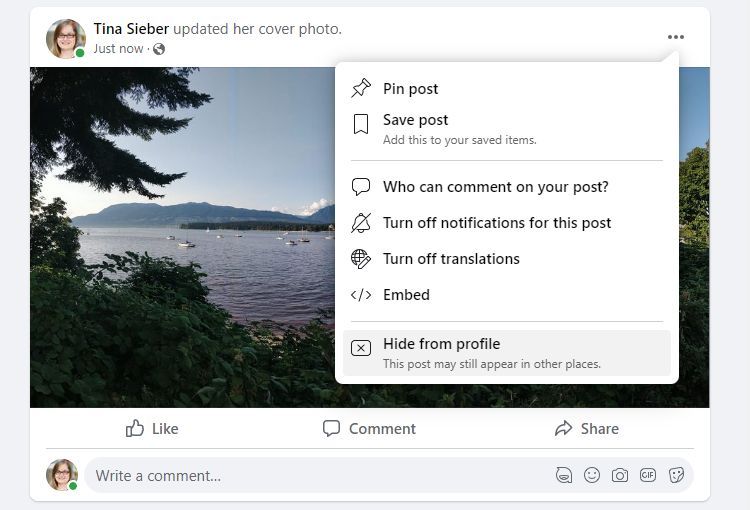 Facebook Hide Post From Profile