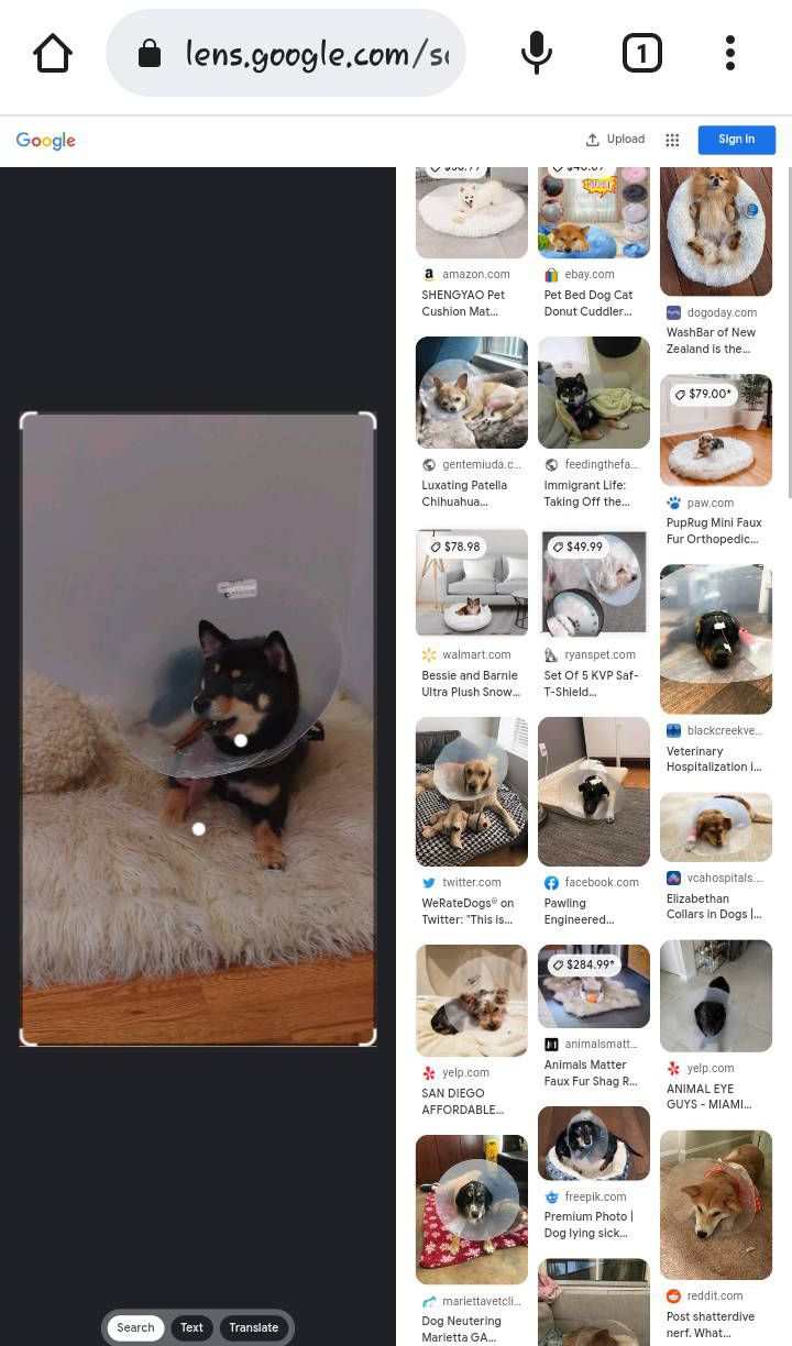 Google Lens example search result
