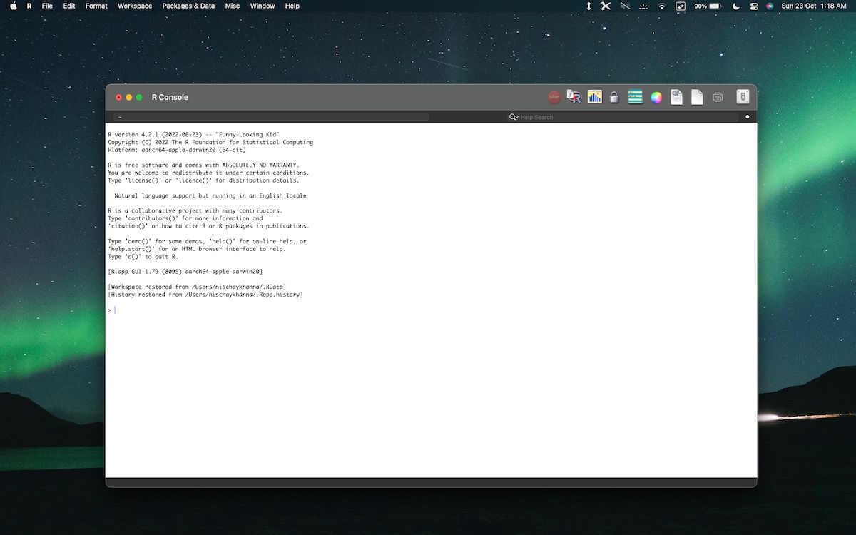 R console open on a Mac 