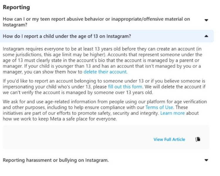 Instagram&rsquo;s terms for reporting underage users
