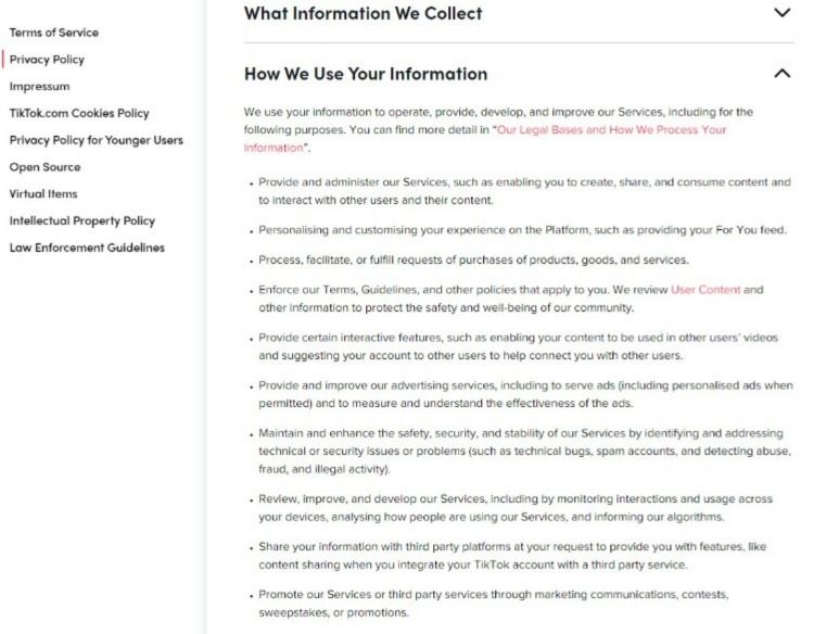 TikTok Privacy policy screenshot