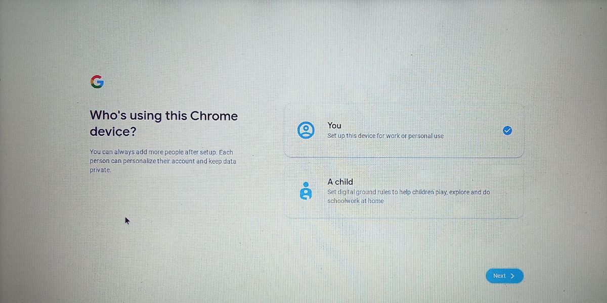 Pick A User Type In ChromeOS Flex 