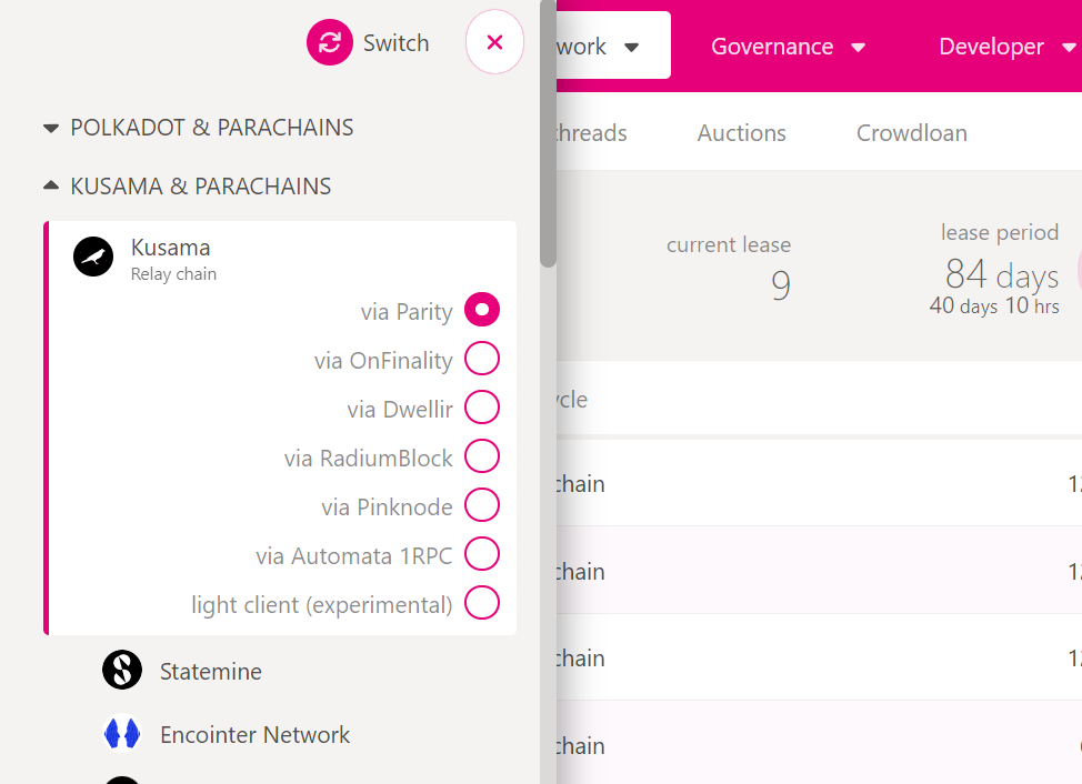 Screenshot of Switching Between Polkadot and Kusama Network