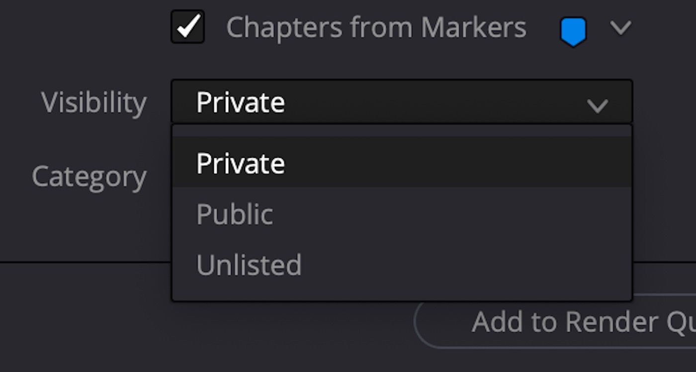 Screenshot of the YouTube privacy box in the render settings menu of Resolve 18