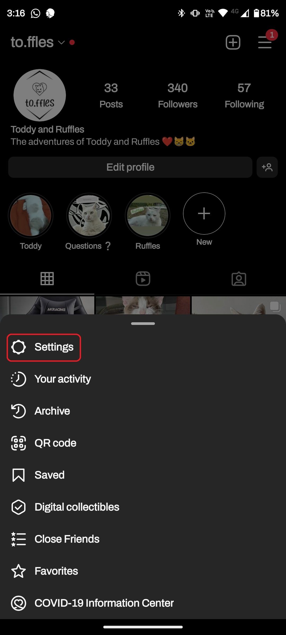 Instagram page with settings window open