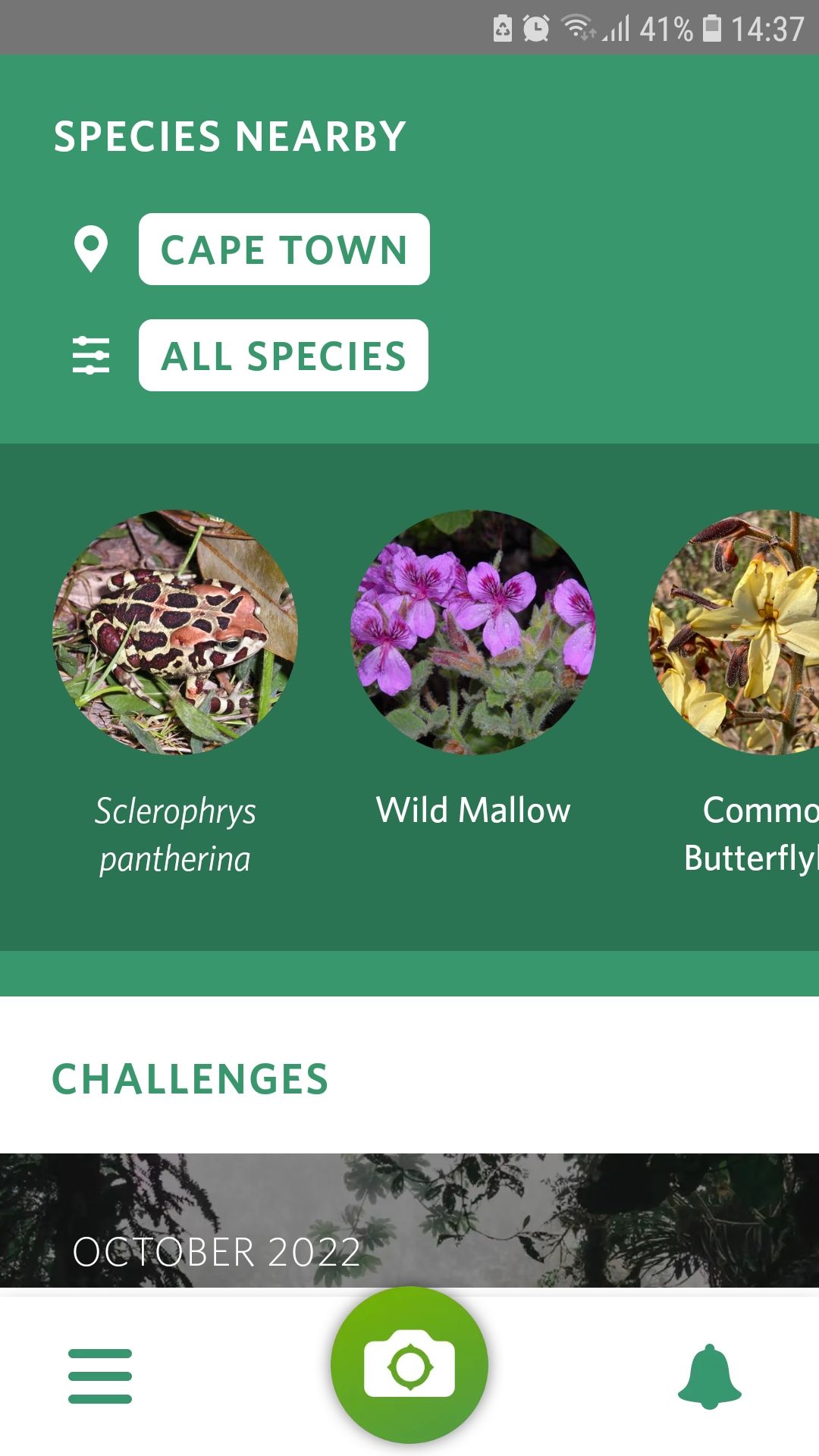 Seek nature identification mobile app species