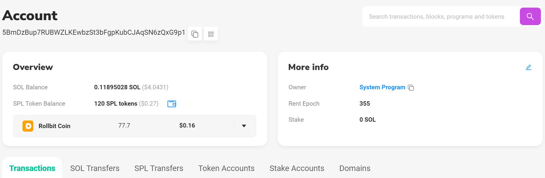 Screenshot of SolScan Wallet Overview Page