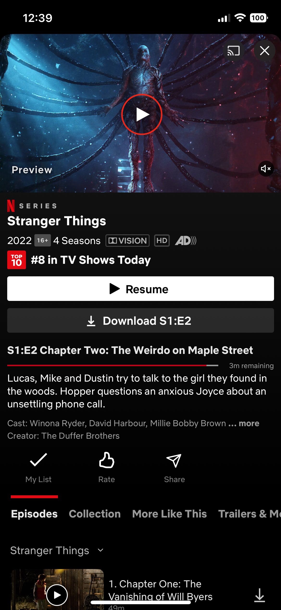 Stranger Things Netflix show