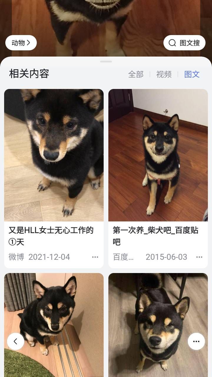 Baidu reverse image search results