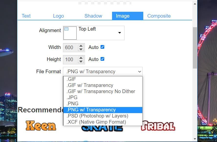 The File Format drop-down menu