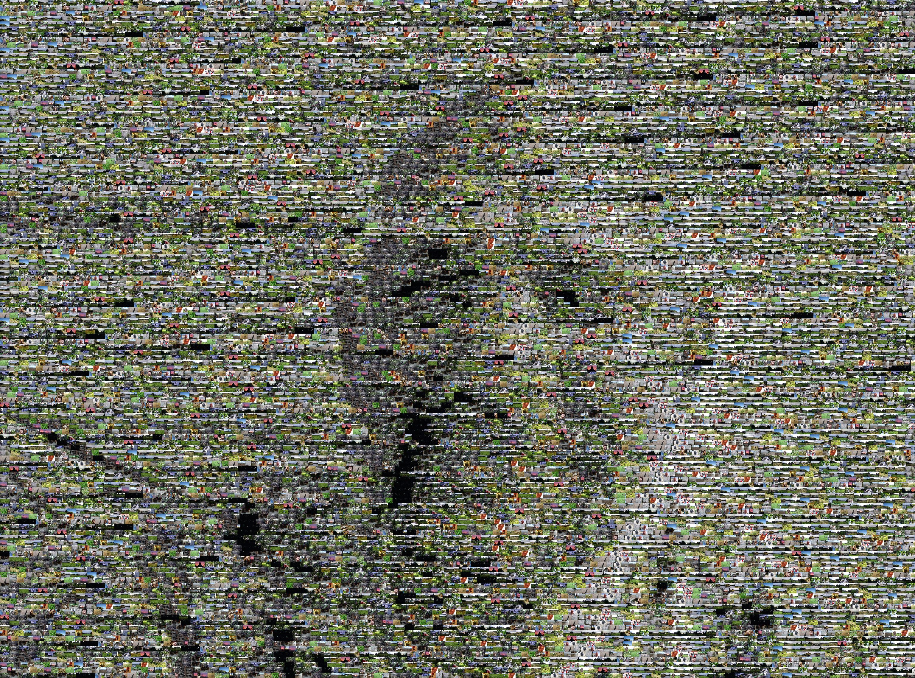 128 row photo mosaic of the authormosaic 