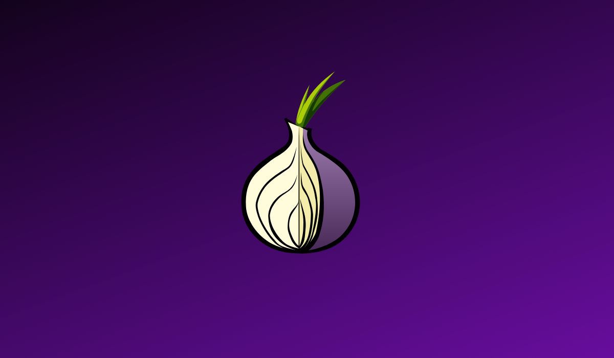 Tor logo seen on dark purple background