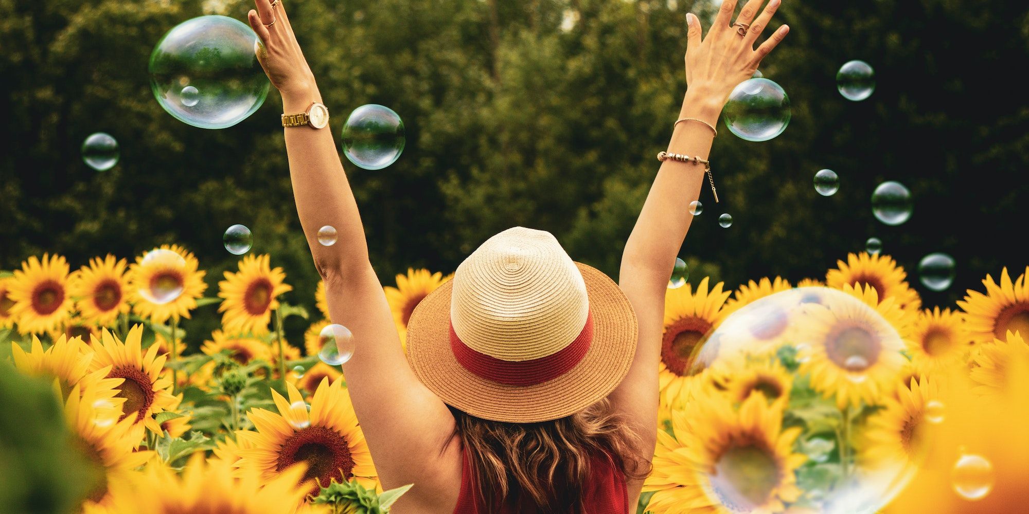 Happy person standing amidst sunflower gardens