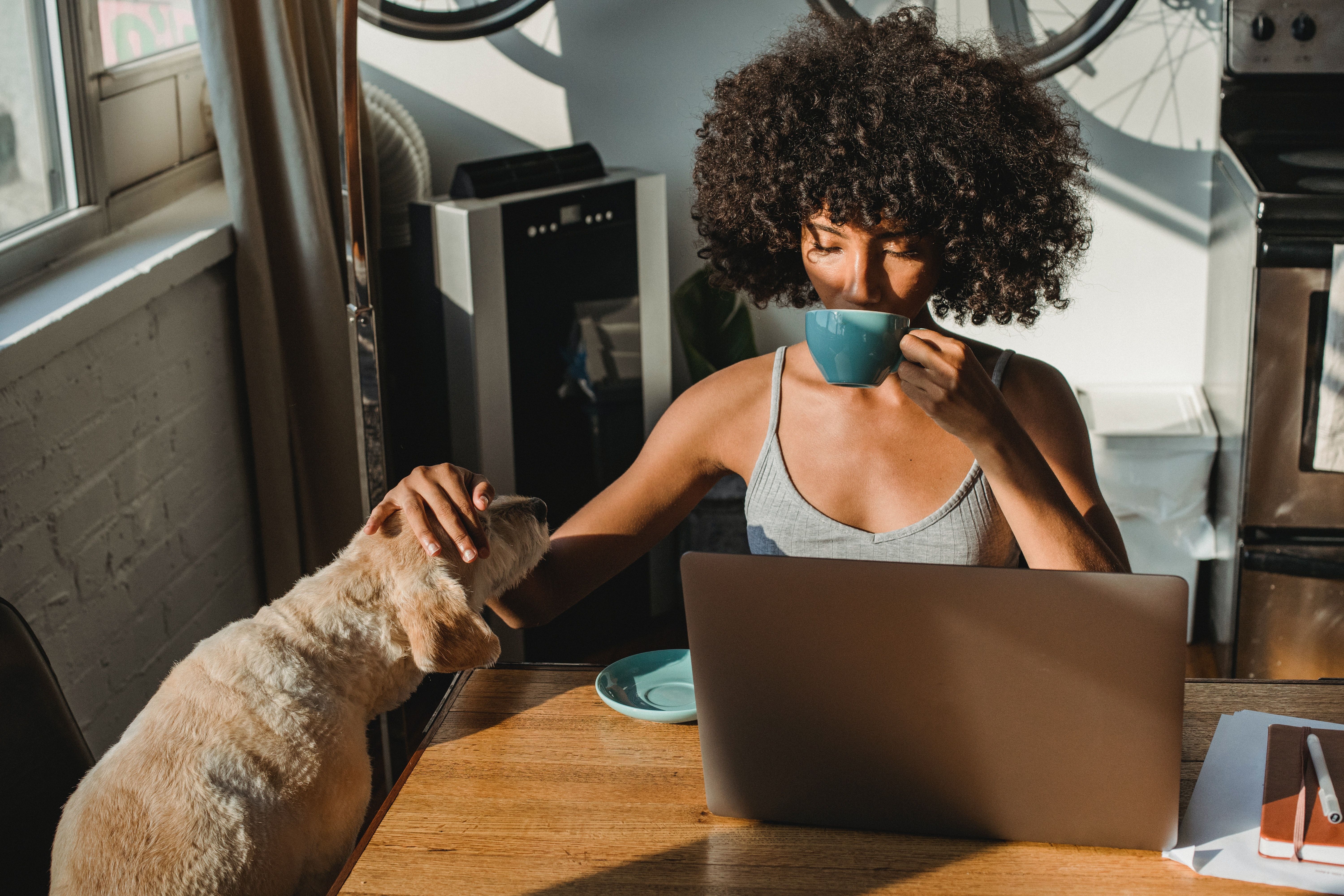 Female with open laptop petting her dog and drinking coffee