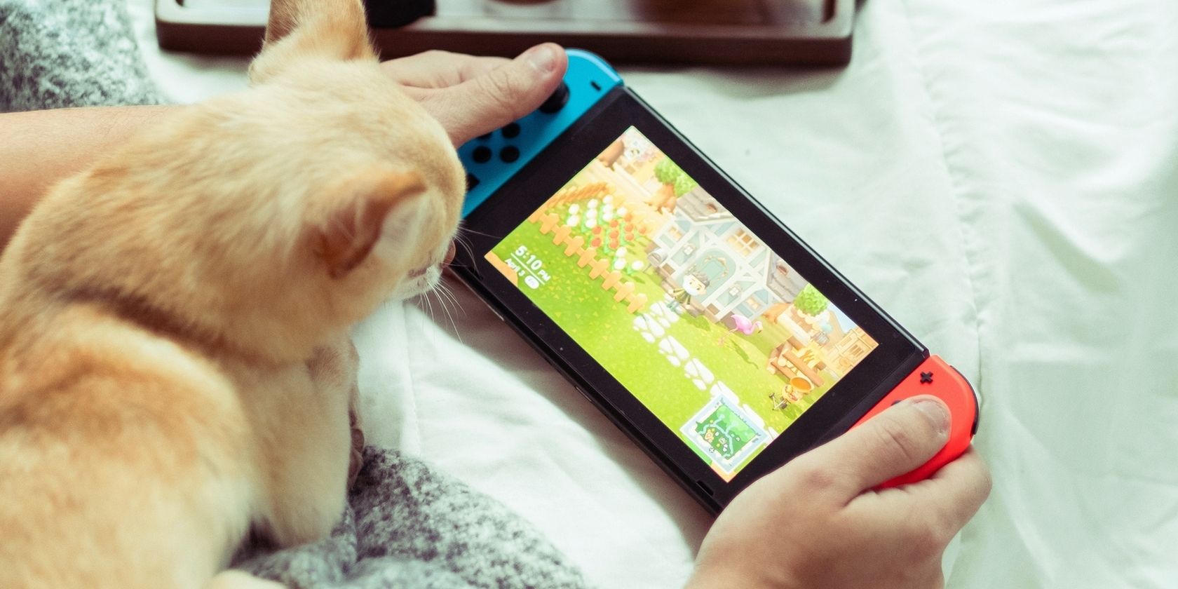 Nintendo Switch with a cat