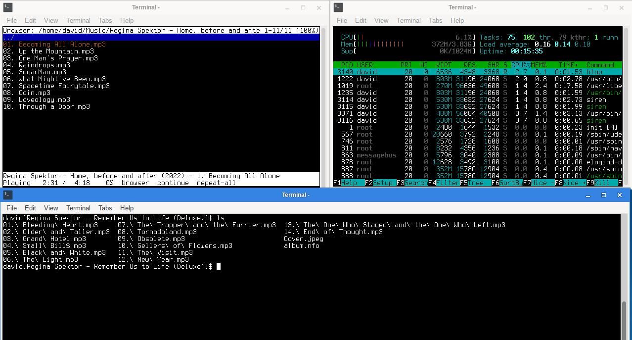  three terminal windows showing siren, htop, and the output of ls - on SalixOS