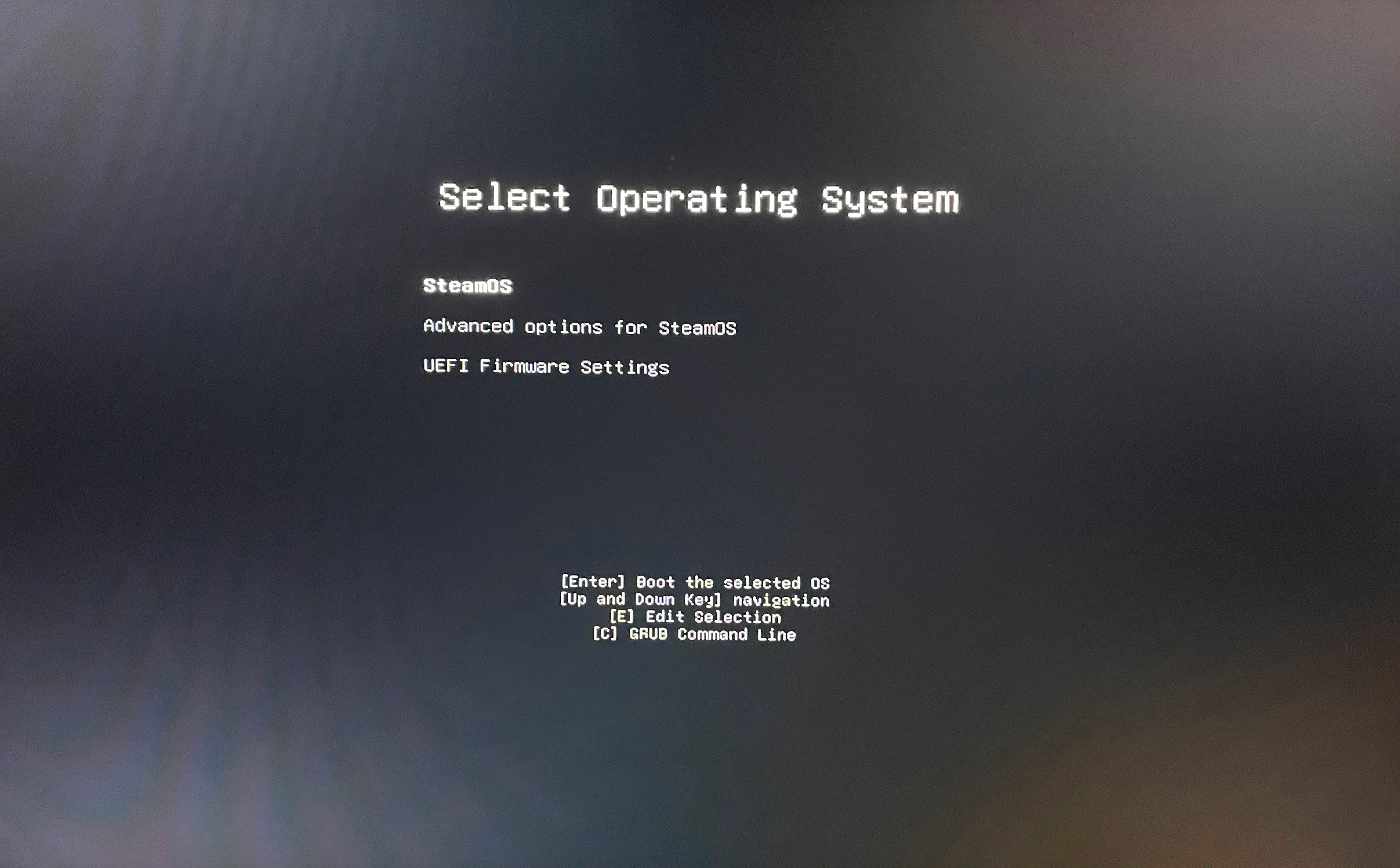 SteamOS installation option choices during first boot