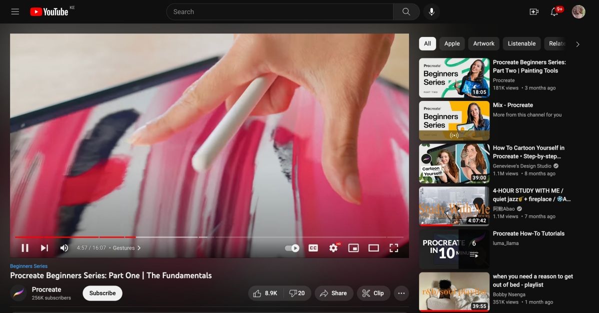 YouTube video player controls