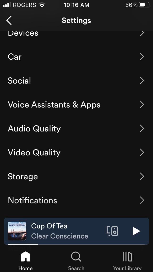 Screenshot of Spotify app settings