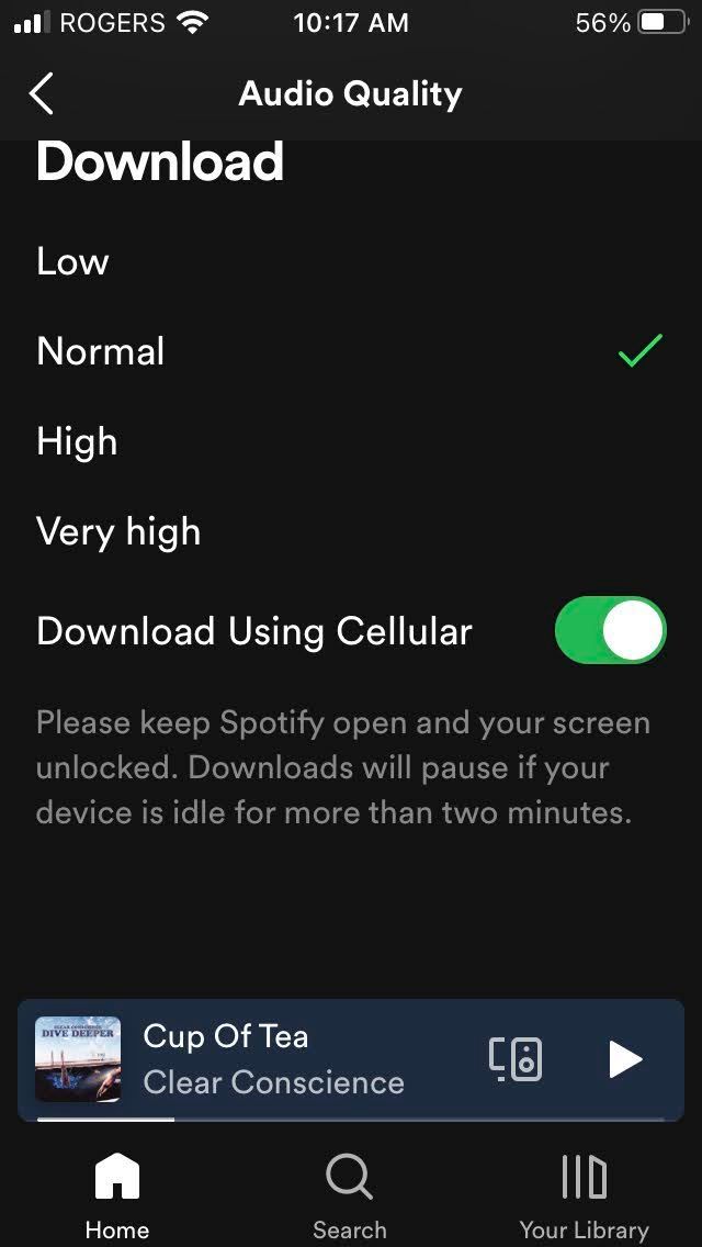 Screenshot of Spotify app settings mobile data turned on