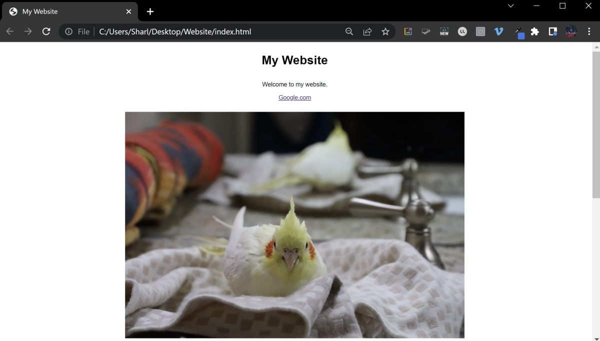 Absolute URL of bird image