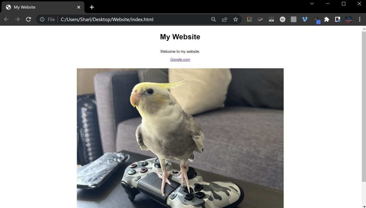 Absolute URL used to display bird image