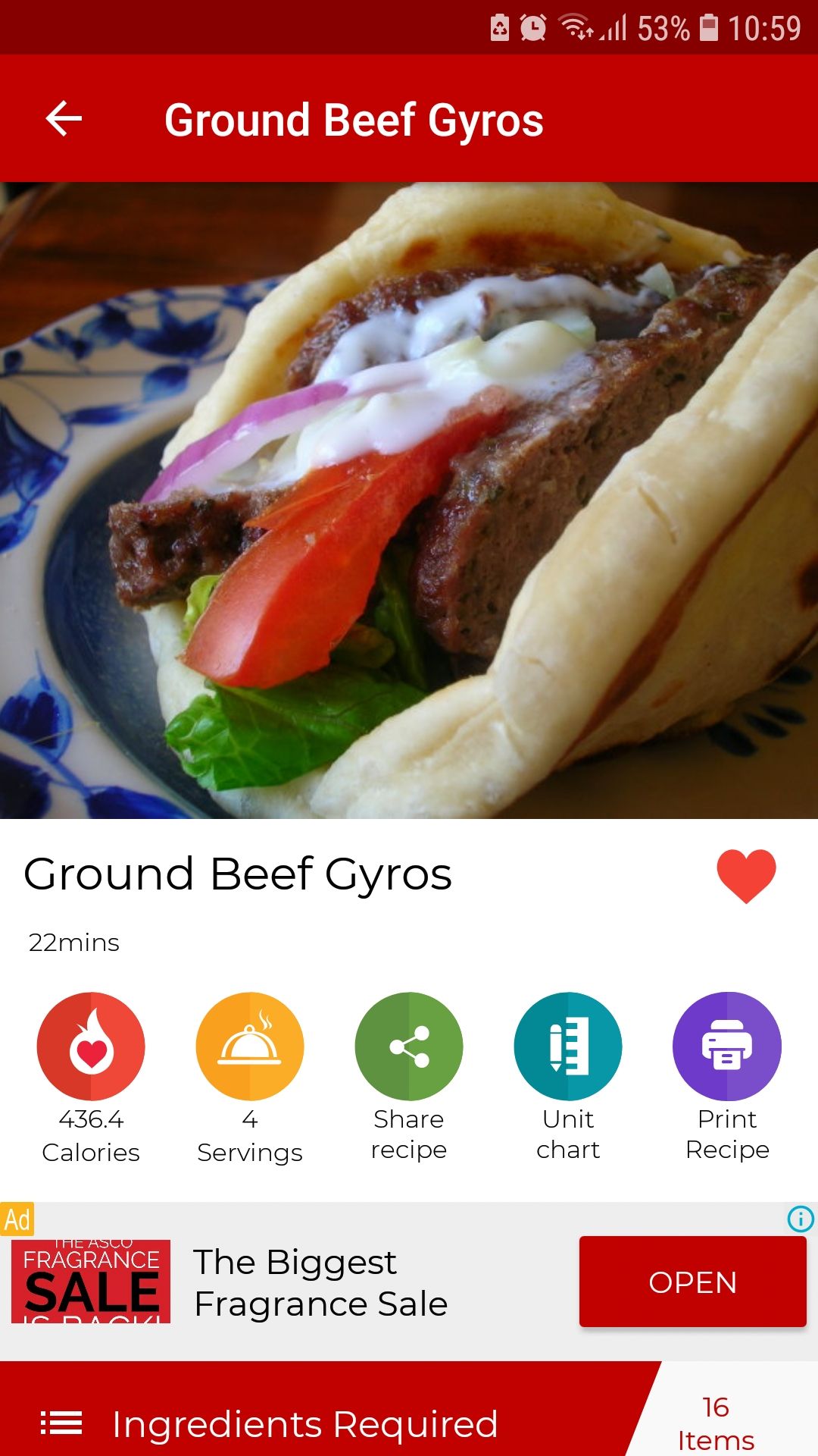 Barbecue Grill Recipes mobile grilling recipe app gyros