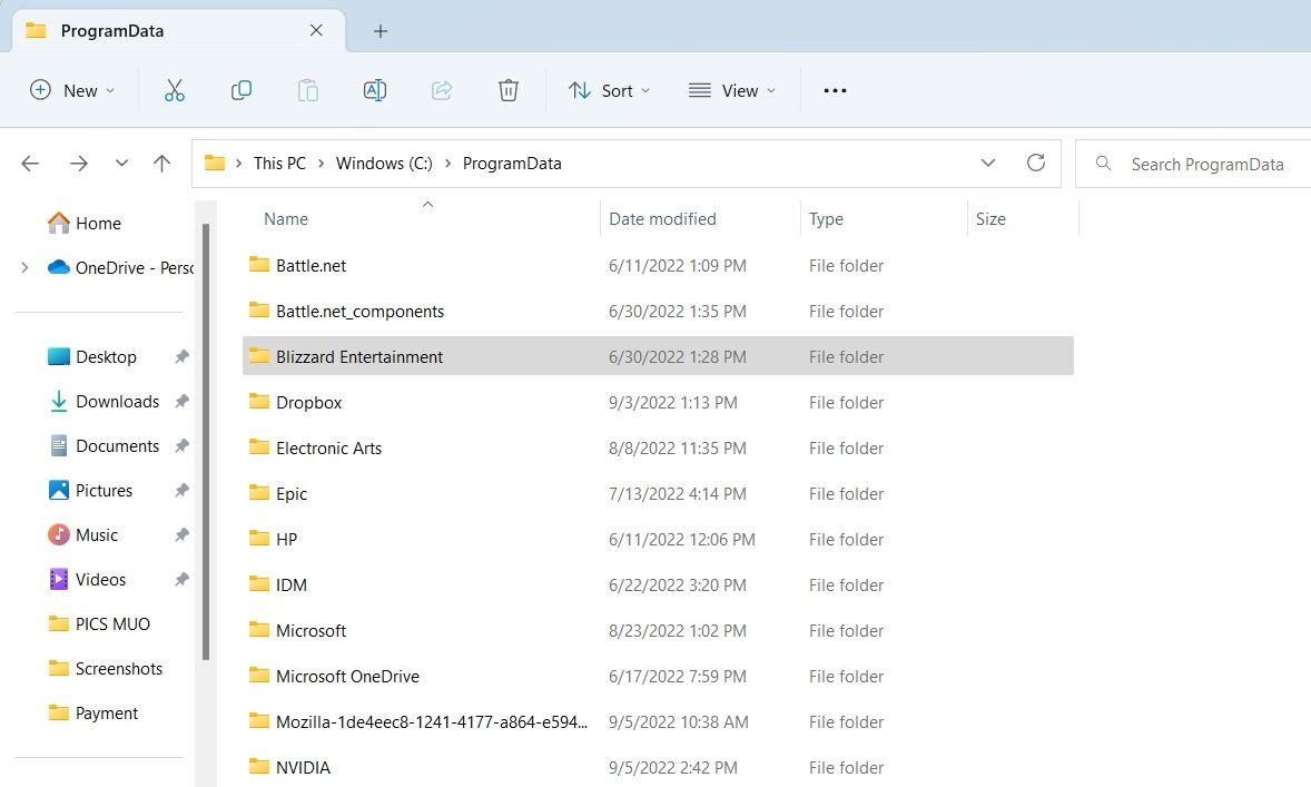 Blizzard Folder in File Explorer