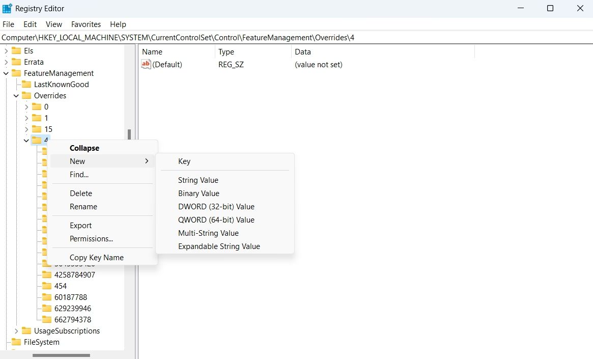 Feature Management Key in the Registry Editor