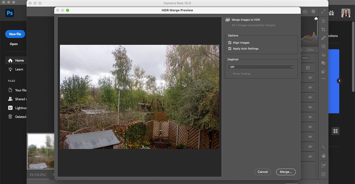 HDR landscape preview in Camera RAW