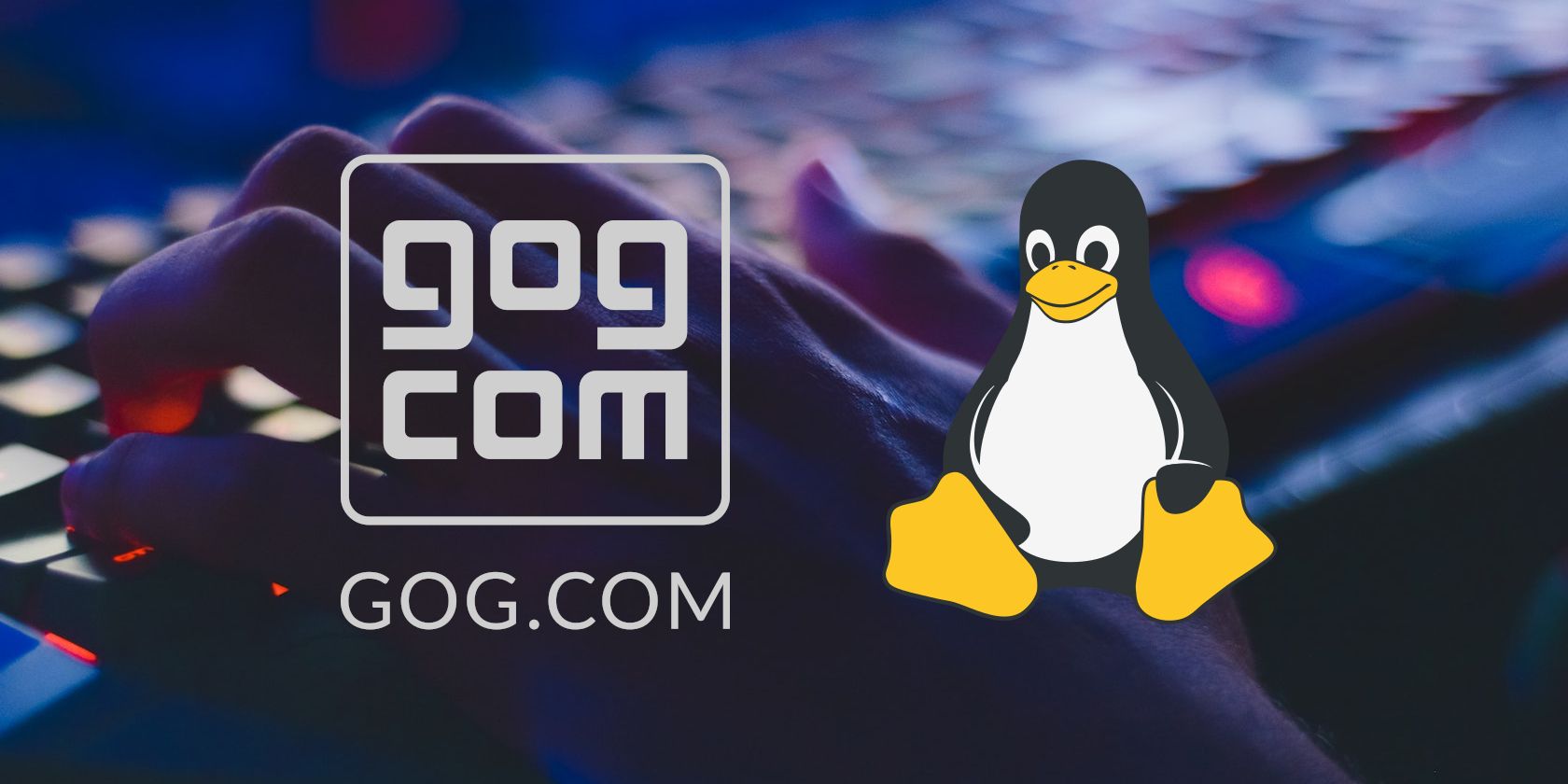 How to Install and Play GOG Games on Linux