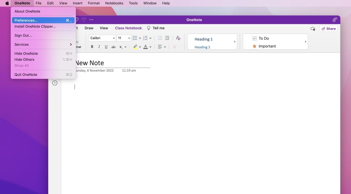 OneNote preferences tab on macOS