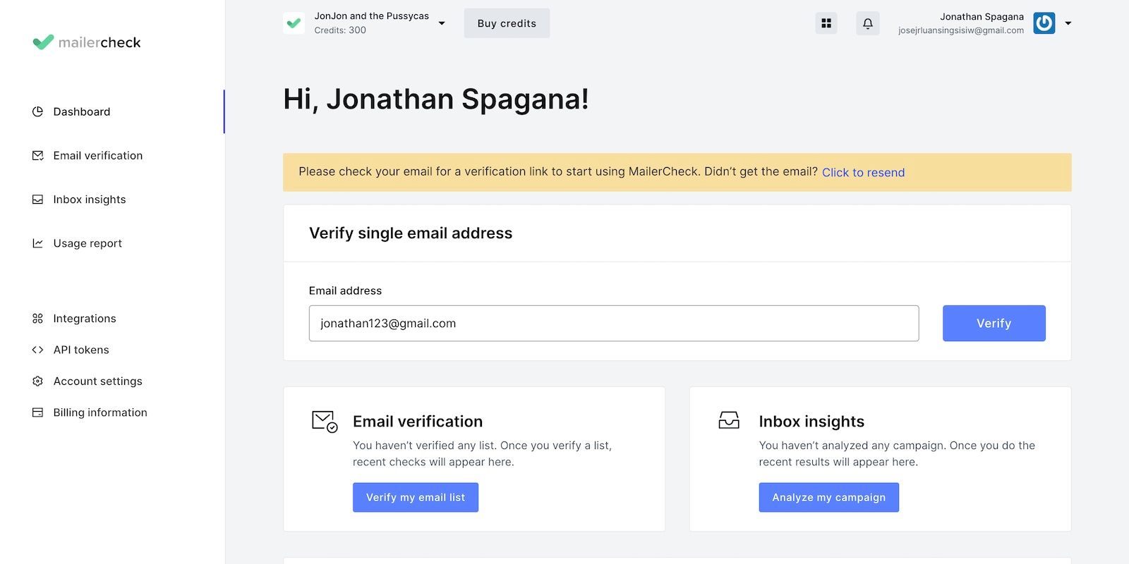 The Homepage and Email Verification of MailerCheck