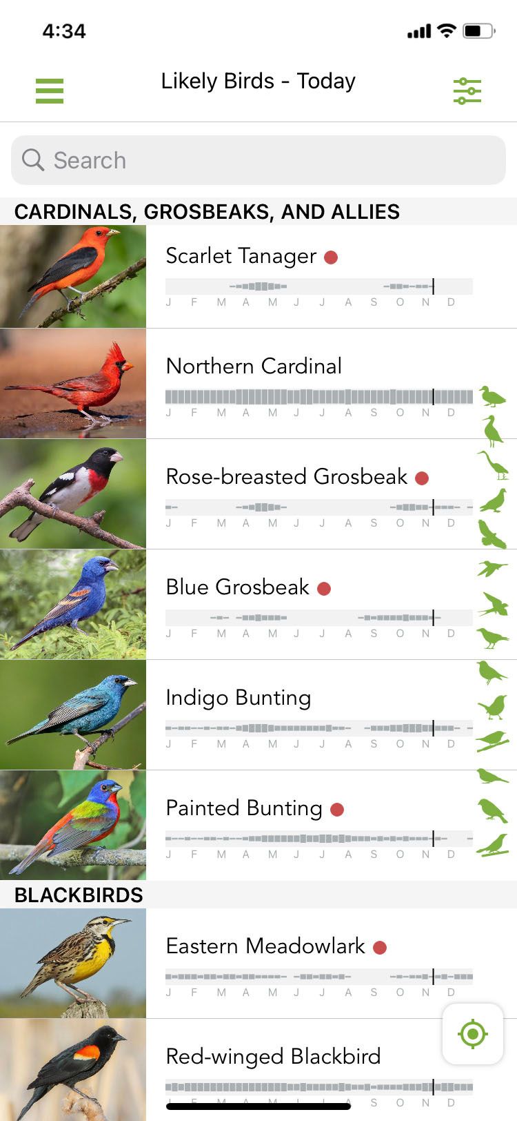 Merlin App Likely Birds