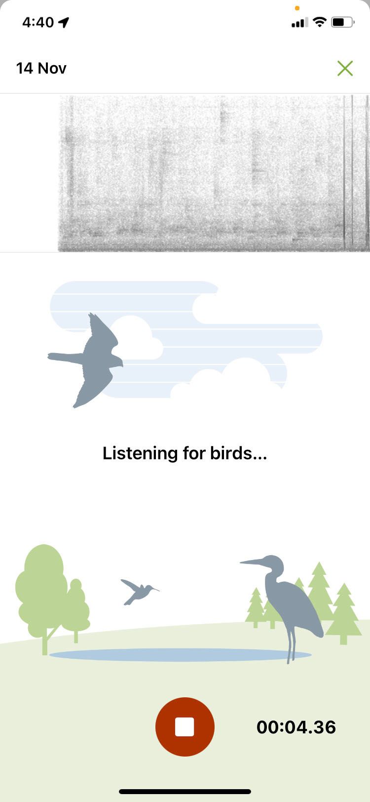 Merlin app Listening for Birds