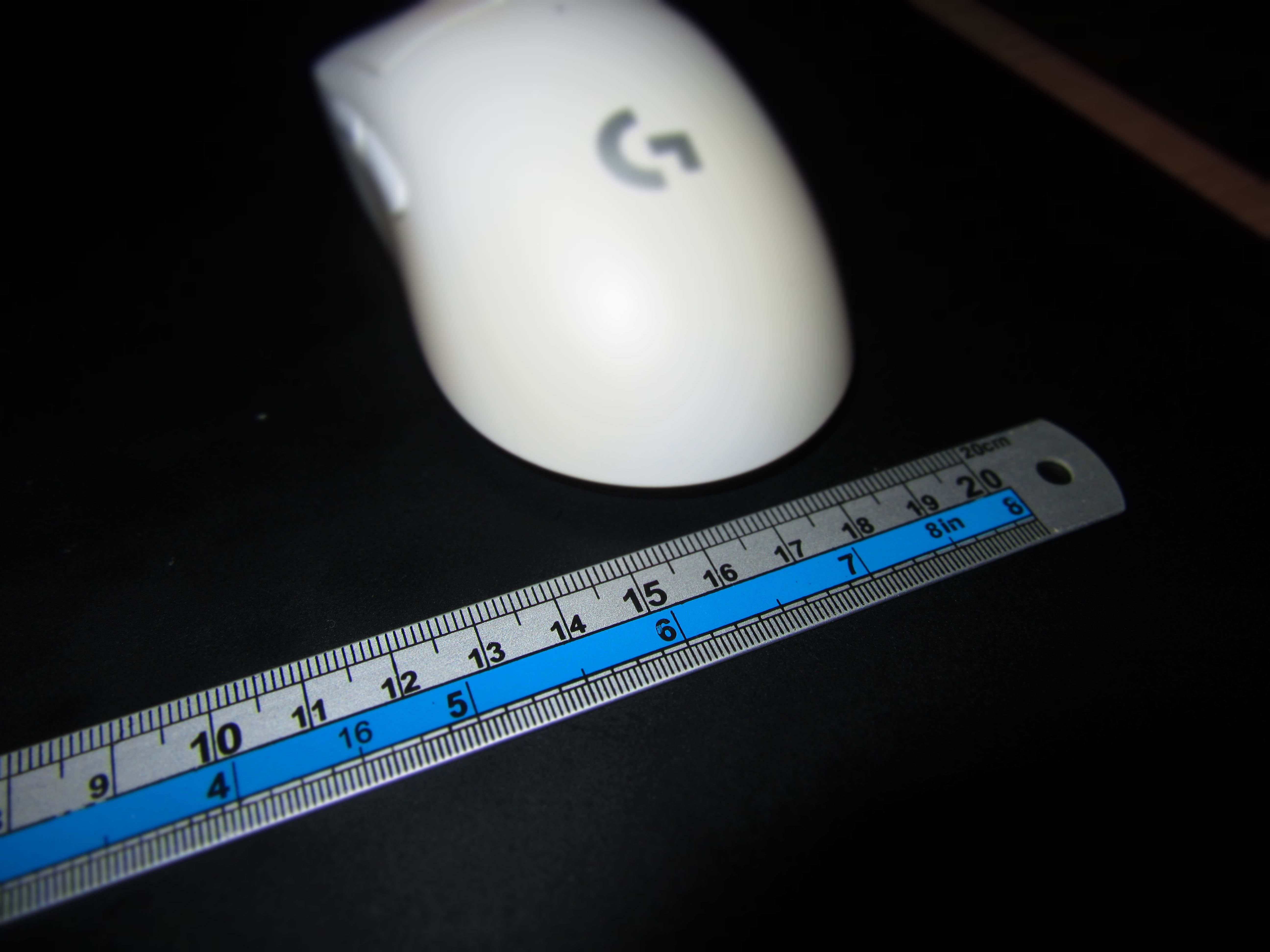 Mouse with ruler behind it