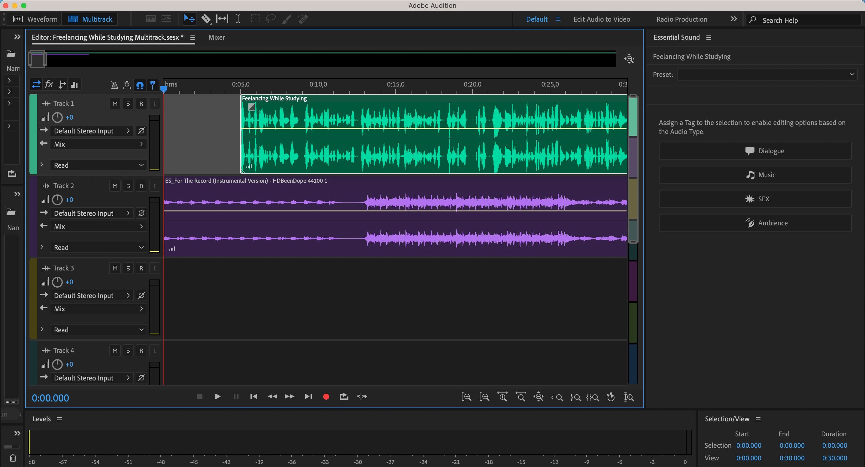 Schermata della sessione multitraccia in Adobe Audition