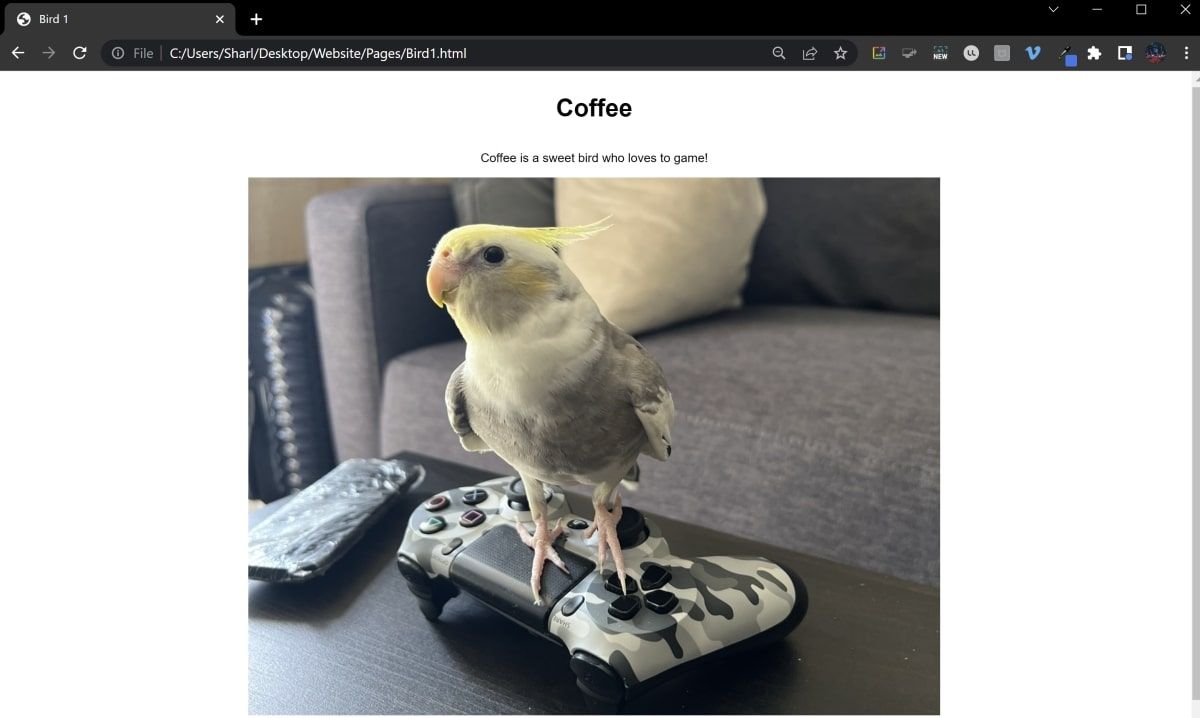 Relative URL used to display bird image