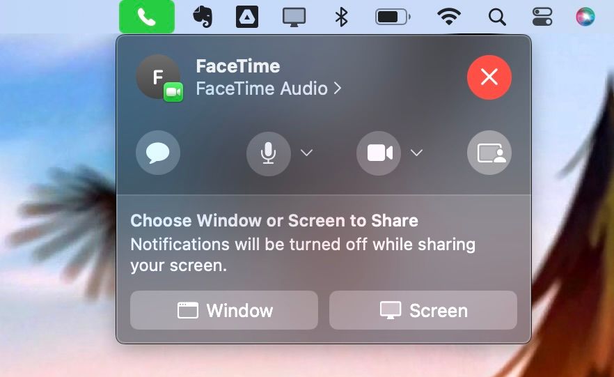 صفحه نمایش همکاری FaceTime و دکمه اشتراک پنجره در Mac Ventura