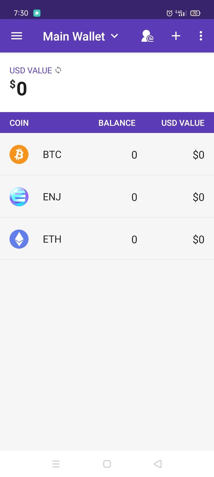 screenshot of Enjin wallet assets