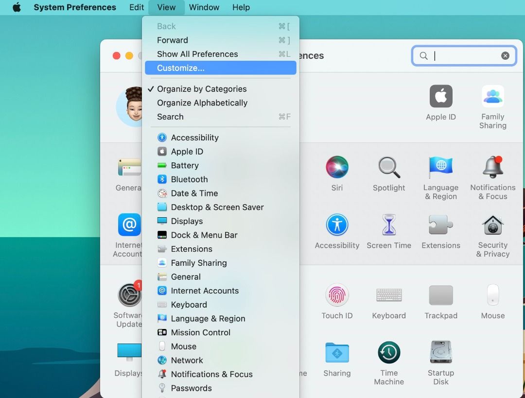 View menu in System Preferences (macOS Monterey)