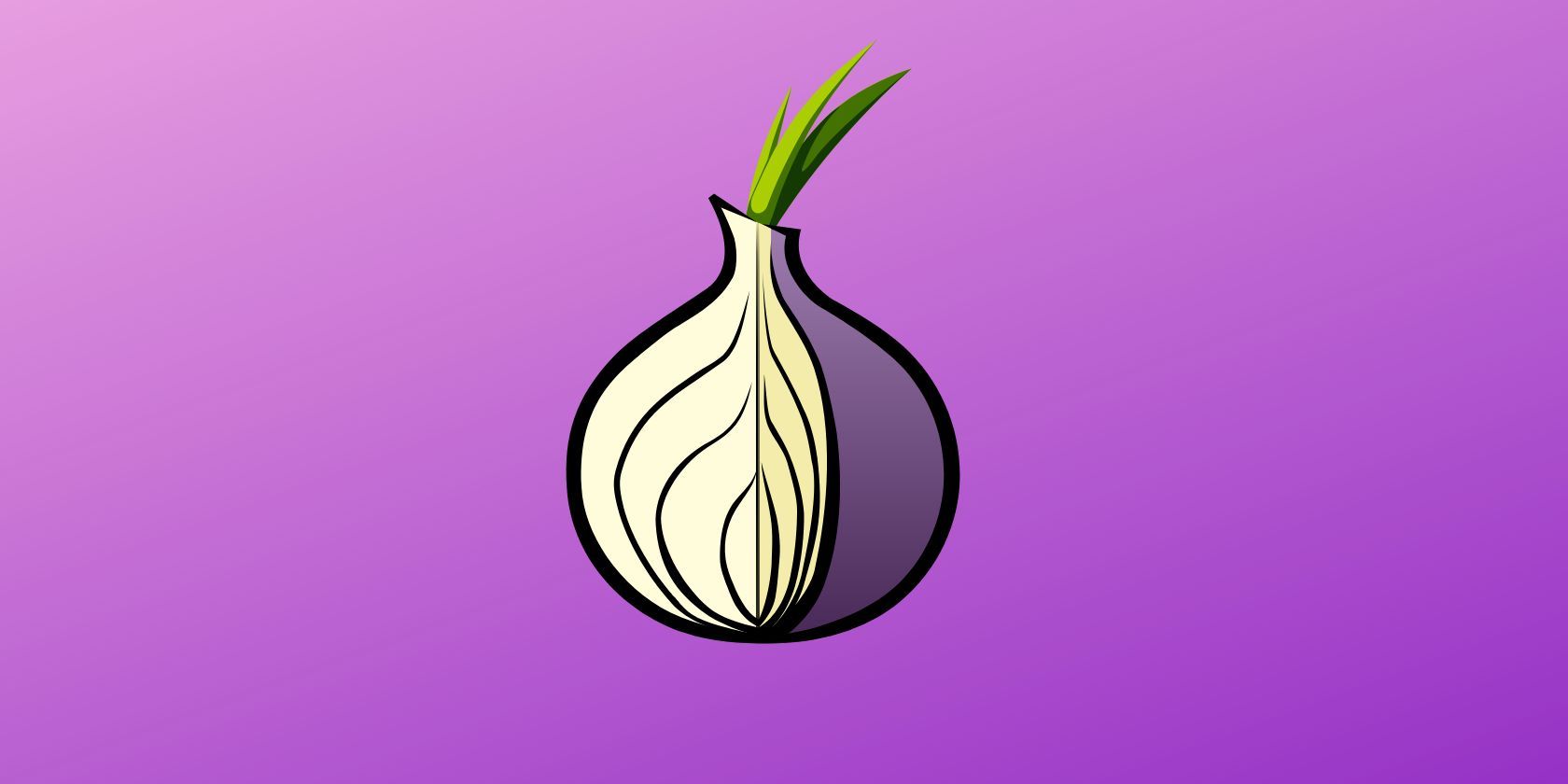 Tor logo seen on purple background 