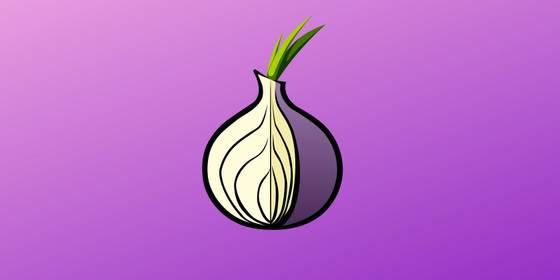 How to Access Tor on Your Smartphone